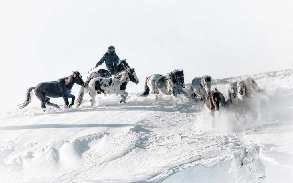 pexels photo 34721874.jpeg