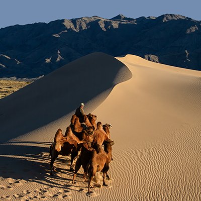 gobi desert of mongolia