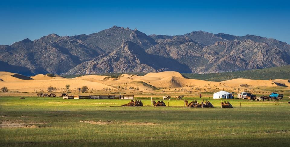 mini gobi mongolian tour trip mongolia