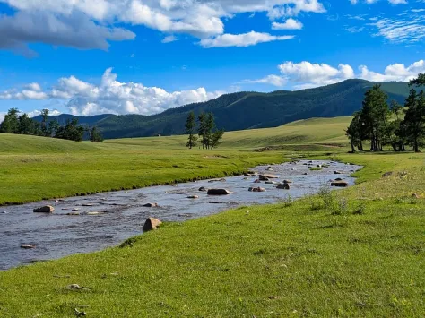 pxl 20250713 094819617 l