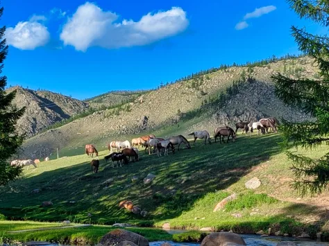 pxl 20250713 110257195 l