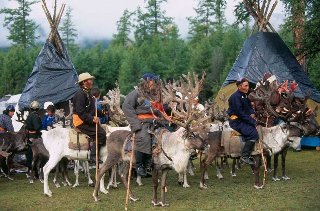 tsaatan reindeer herders festival, jankhai, khovsgol lake, mongolia