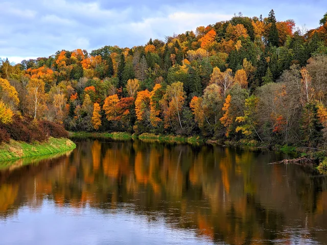 golden autumn in latvia v0 a5jp9gi73dud1